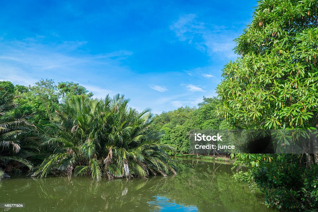 small River in Park A small River in Park 2015 Stock Photo