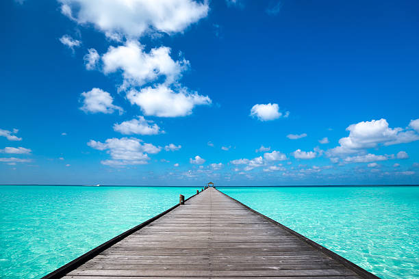 istock Wooden pier with blue sea and sky background 485772242