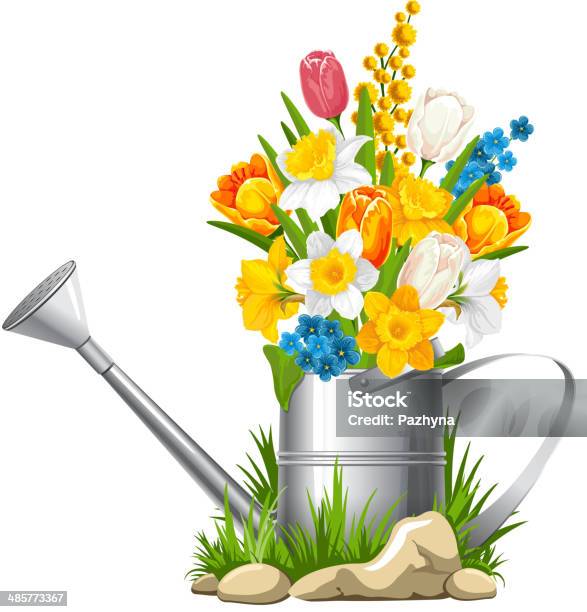 Flowers In Watering Can Stock Illustration - Download Image Now - Acacia Tree, Arrangement, Beauty In Nature