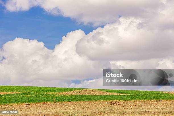 Felder Stockfoto und mehr Bilder von Agrarbetrieb - Agrarbetrieb, Agrarland, Blau