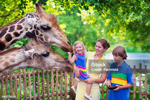 Family Feeding Giraffe In A Zoo Stock Photo - Download Image Now - Zoo, Family, Child