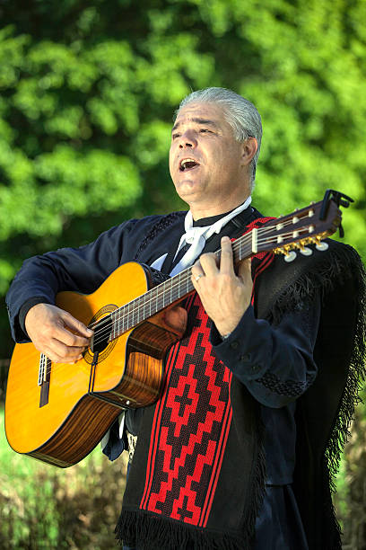istock Traditional Argentine musician 485776433
