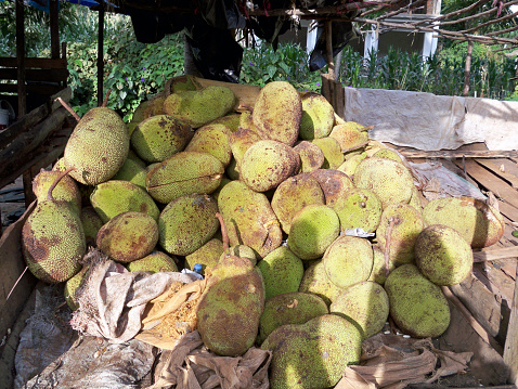 Jackfruit at a market in a village in Usambara Mountains, Tanzania