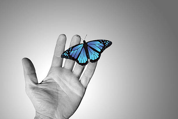 Wrinkled hand with butterfly stock photo