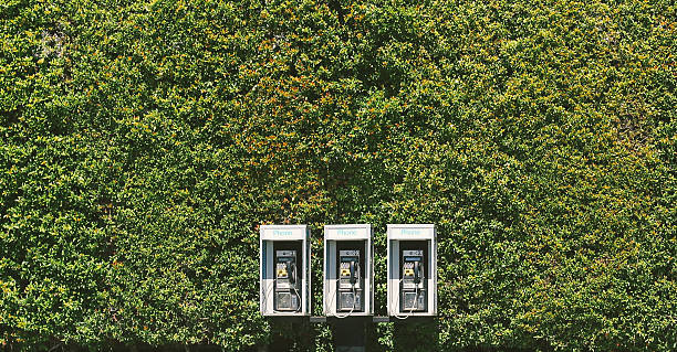 the pay phone stock photo