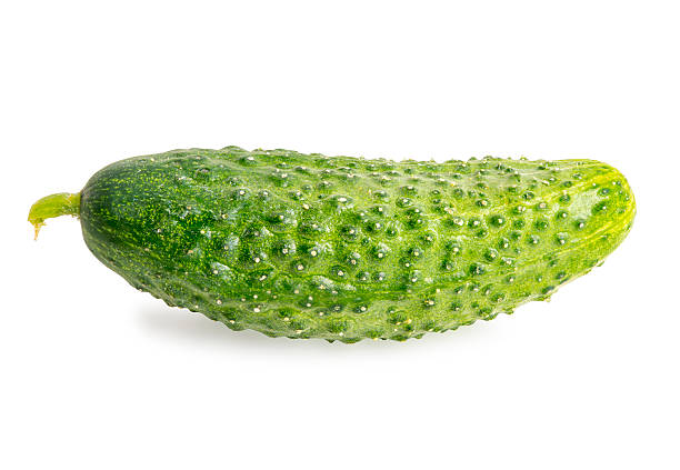 Cucumber stock photo