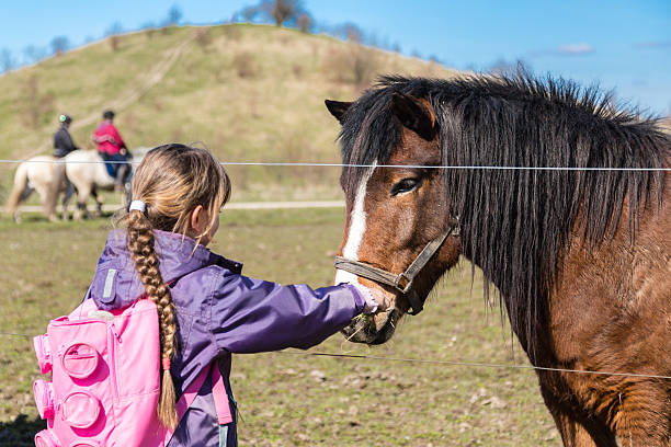 istock Girl feeding horse 485792740