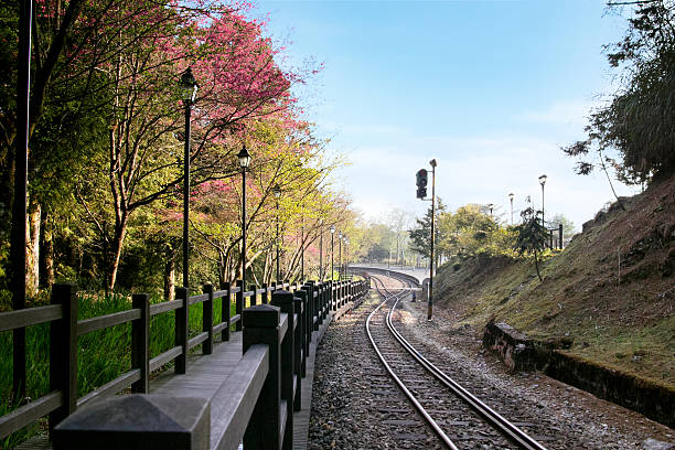 istock Walkway along railway with traffic light and mountain 485792884