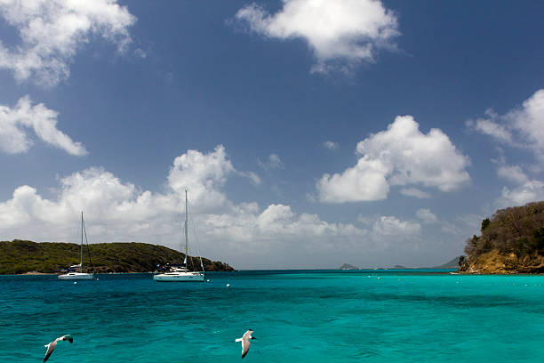 Iates ancorados em Baradel Marine reserva natural, as Grenadinas. - fotografia de stock