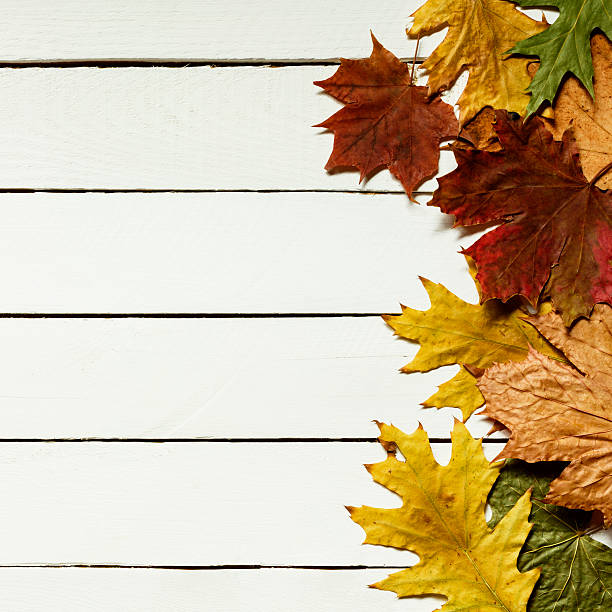 istock Autumn leaves on wooden background 485799948