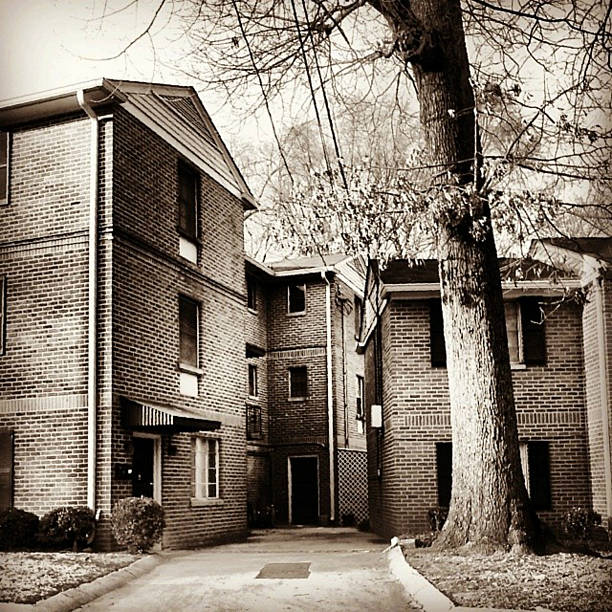 Antique looking townhomes with large tree in front.