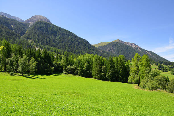 istock Summer landscape in Switzerland Alps 485804154