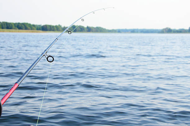 istock Sea Fishing with Spinning 485804546