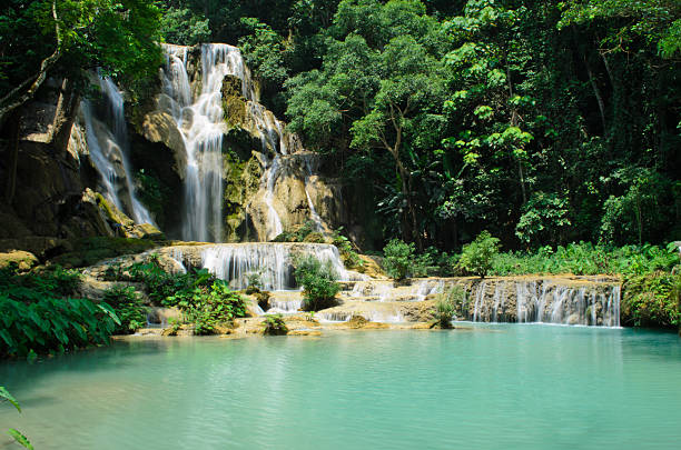 istock Kuang Si waterfall in Luang Prabang 485804586