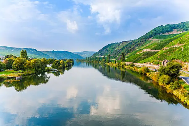 scenic moselle valley at Trittenheim