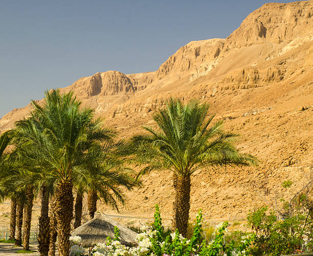 istock Judean mountains in Israel 485806210