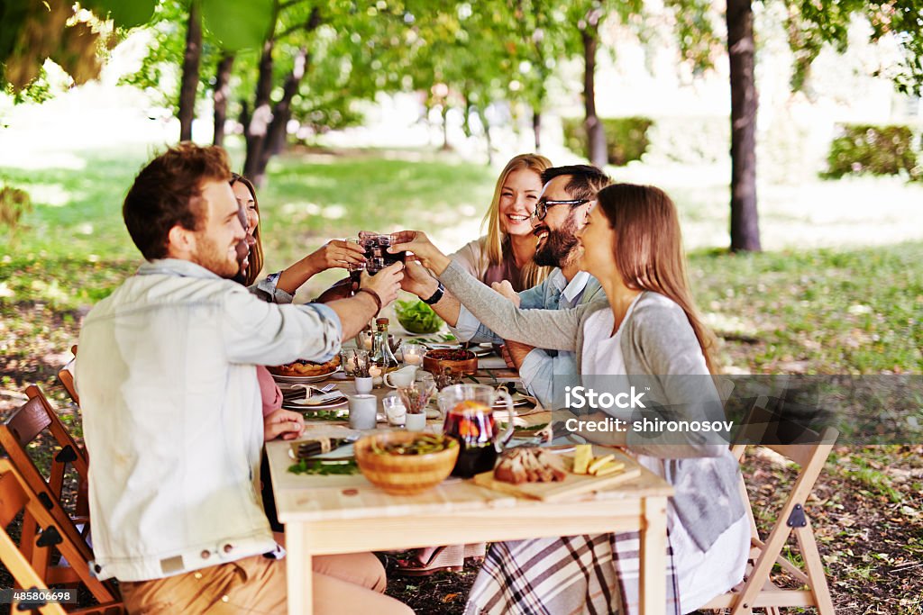 Thanksgiving toast Group of young friends toasting with red wine at Thanksgiving table 2015 Stock Photo