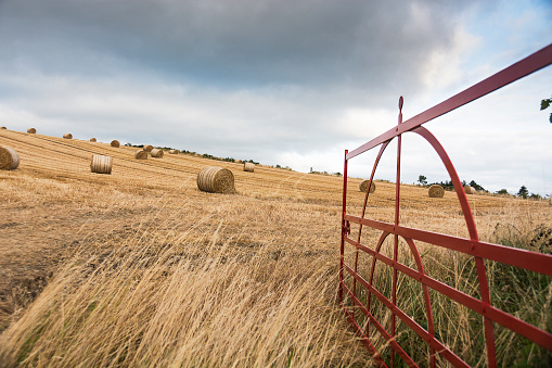 Field of harvested bales and farm gate