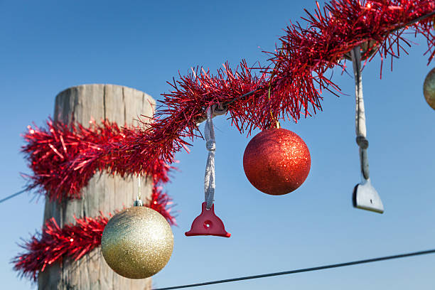 istock Rural Christmas fence in summer 485807704