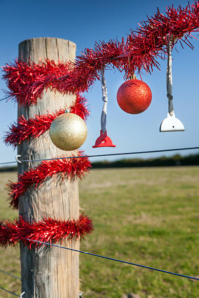 istock Rural Christmas fence in summer 485807932