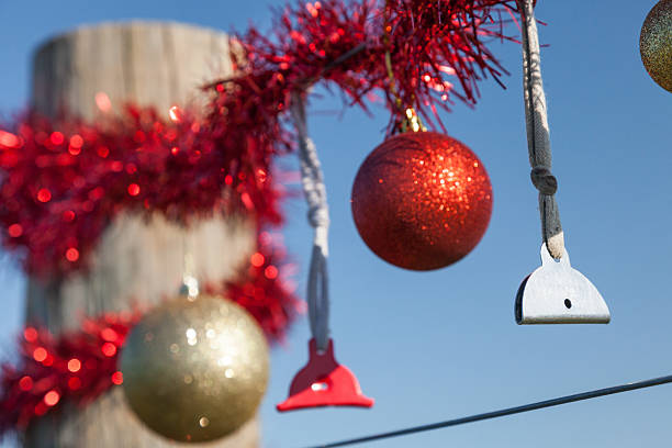 istock Rural Christmas fence in summer 485808244