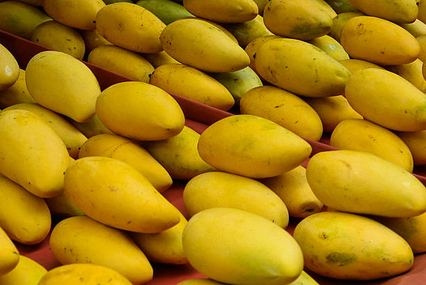 Stacks of mangos stock photo