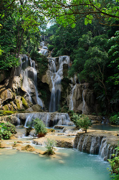 istock Kuang Si waterfall in Luang Prabang 485809362