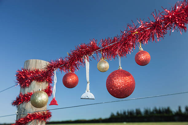 istock Rural Christmas fence in summer 485809466