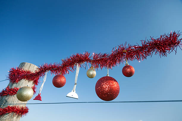 istock Rural Christmas fence in summer 485809634