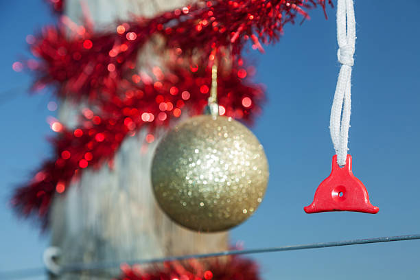istock Rural Christmas fence in summer 485809890