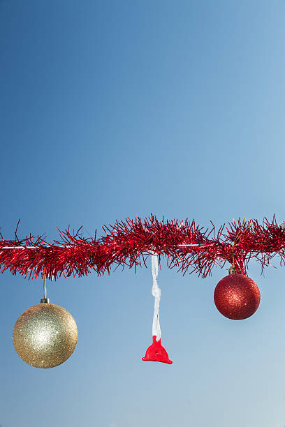 istock Rural Christmas fence in summer 485810200