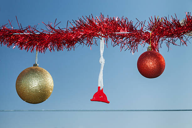 istock Rural Christmas fence in summer 485810420