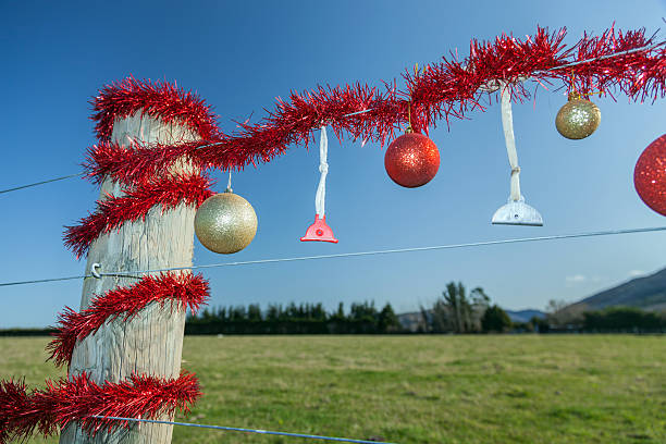 istock Rural Christmas fence in summer 485810704