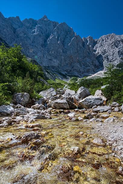 Creek under Triglav north wall Creek under Triglav north wall municipality of jesenice photos stock pictures, royalty-free photos & images