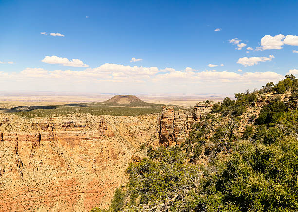 istock Green on Grand Canyon 485812434