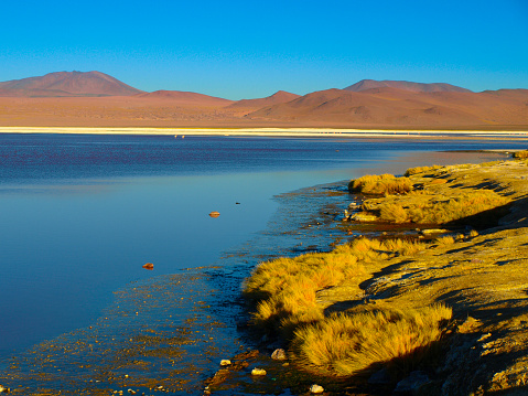 Laguna Colorada or Red Lagoon and typical brown mountains in bacground,, Reserva Nacional de Fauna Andina Eduardo Avaroa, Cordillera de Lipez, Bolivia