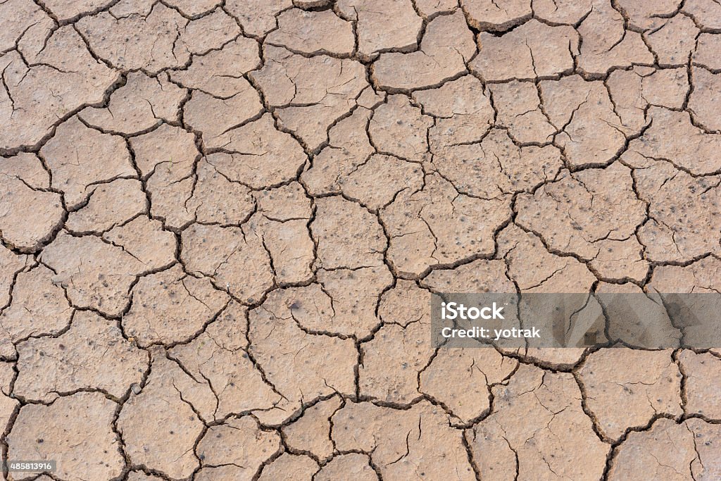 Crack soil on dry season 2015 Stock Photo