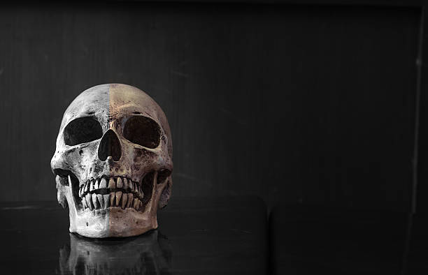 istock two tone Skull on wood background 485814054
