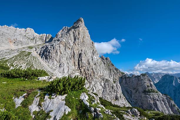 Mountain in Julian Alps Mountain in Julian Alps municipality of jesenice photos stock pictures, royalty-free photos & images