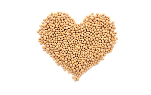 Soybeans, or soya beans, in a heart shape, isolated on a white background