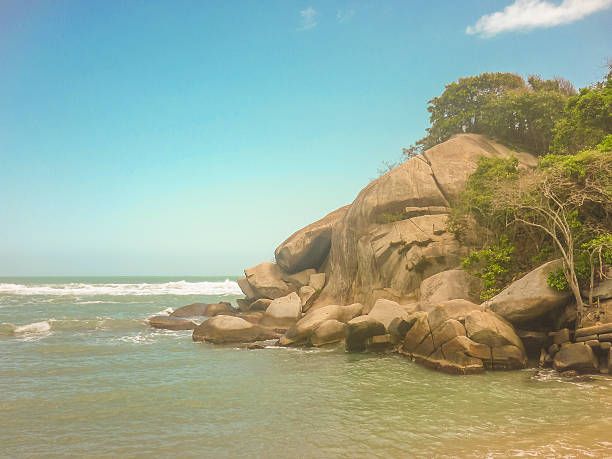 istock Tropical Beach of Tayrona National Park 485819644