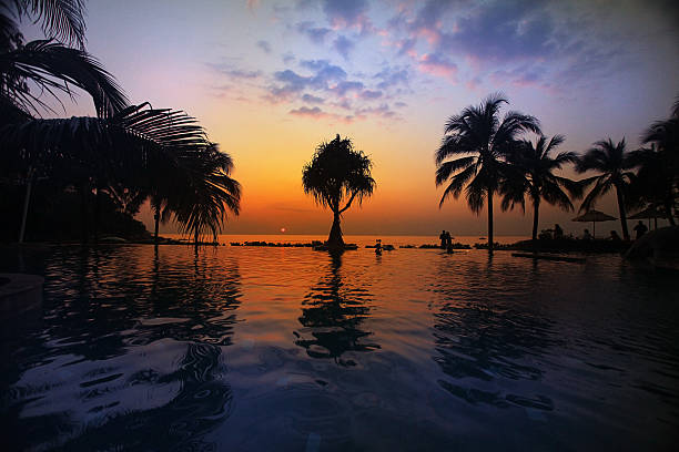 istock palm sea sunset evening landscape journey 485824908