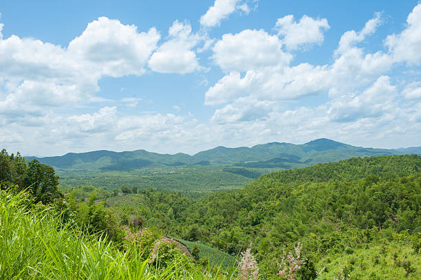 istock Landscape with mountains covered forests 485825030