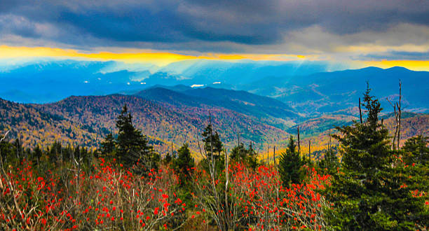 vivaci colori d'autunno in smokies, tennessee - blue ridge mountains autumn great smoky mountains tree foto e immagini stock