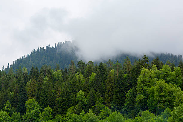 istock Mountains Of Abkhazia. 485826712