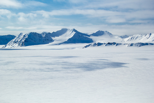 Arctic primavera en south Spitsbergen. photo