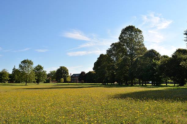 istock Common in Redbourn, Hertfordshire 485829368