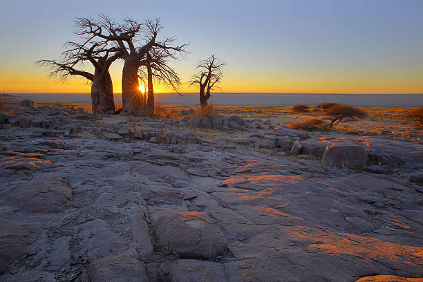 istock Sunrise at Kubu Island 485831032