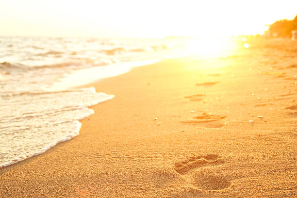 footprints. - footprint sand sea beach stock-fotos und bilder
