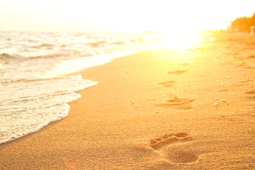 Footprints in the sand at sunset.